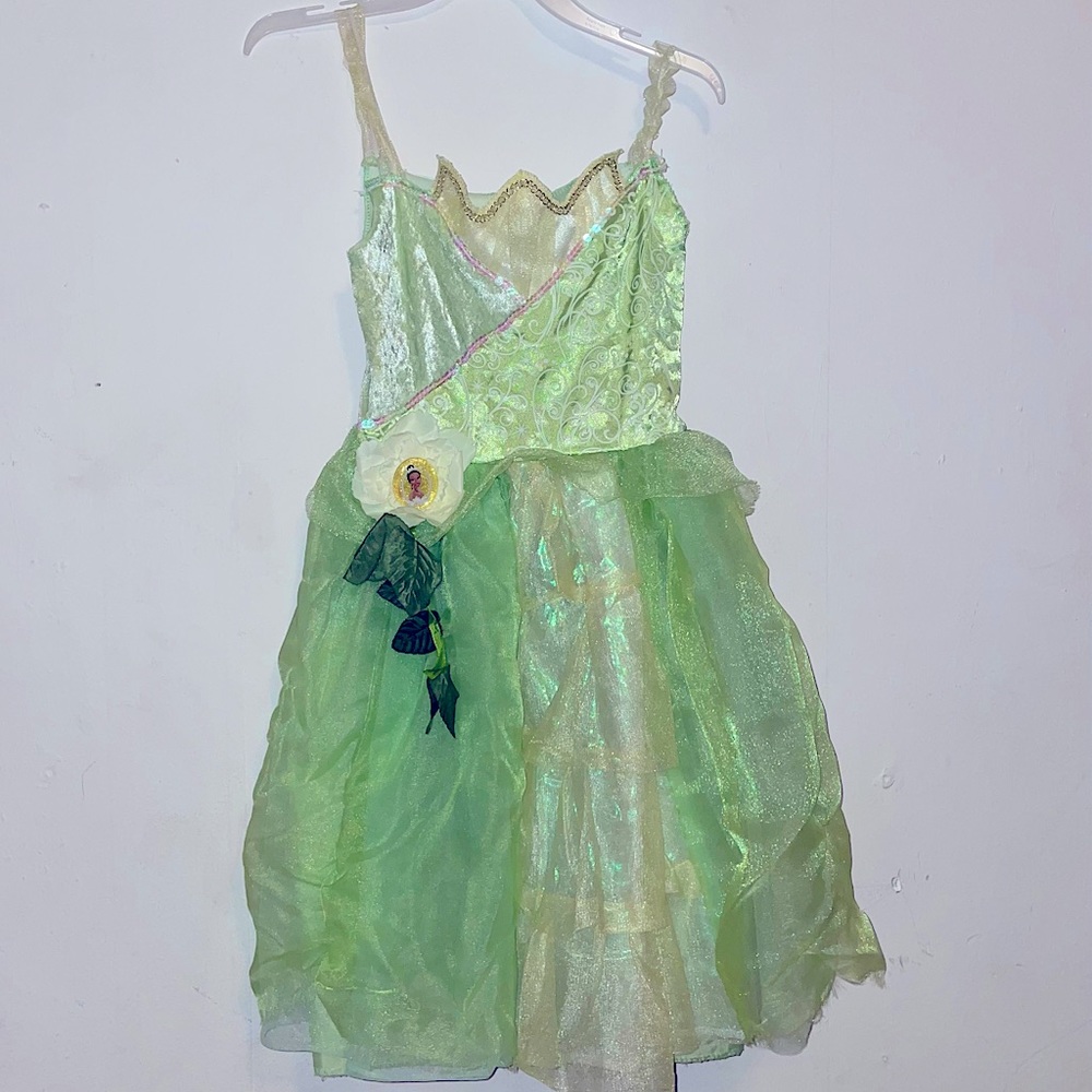 Girls Princess Tiana Halloween costume